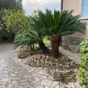 Il Giardino Delle Cycas Appartamento