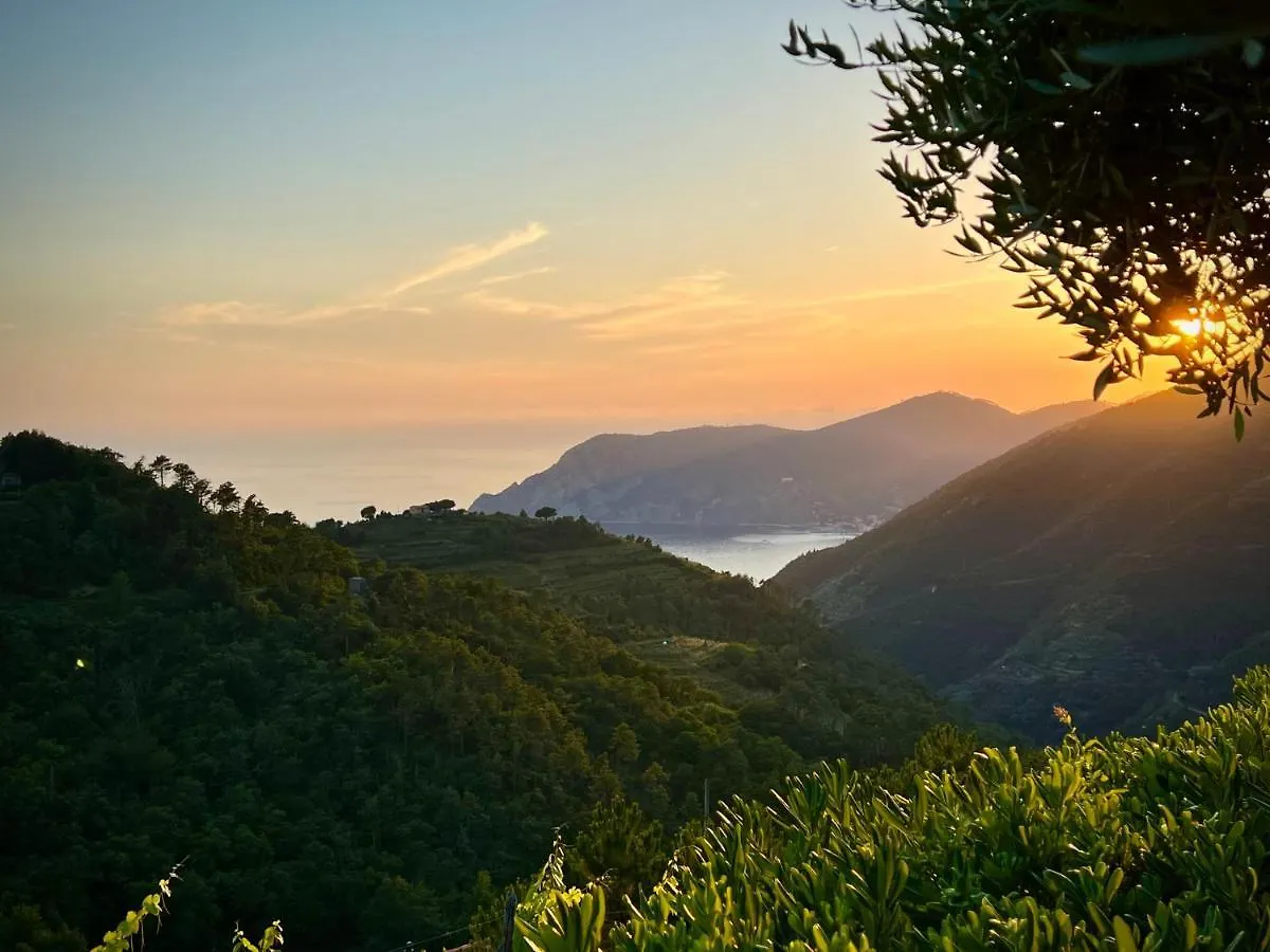 Incanto Vernazza 0*,